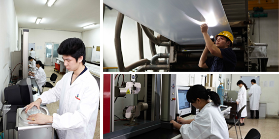 新得利·(中国)有限公司官网